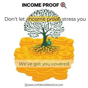 income-proof-investigation-confidential-detective.com