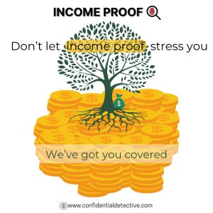 income-proof-investigation-confidential-detective.com