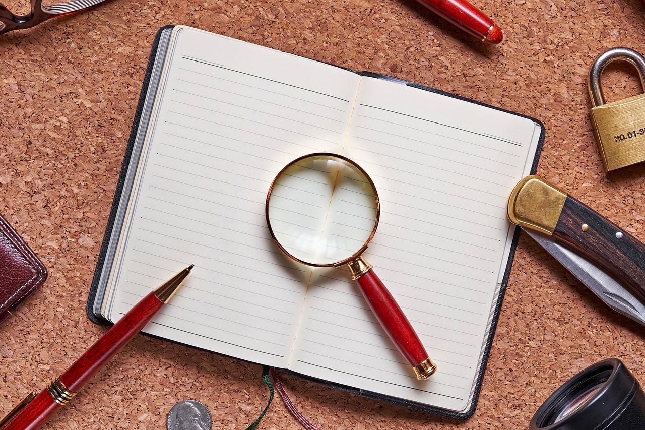 investigators -in-delhi